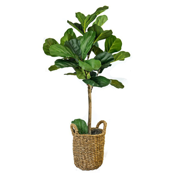 Fake deals plant tree